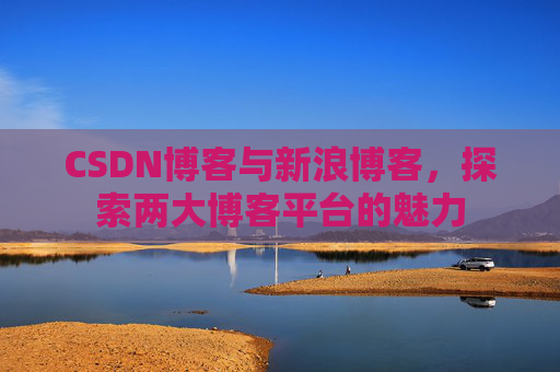 CSDN博客与新浪博客,探索两大博客平台的魅力 CSDN博客与新浪博客,探索两大博客平台的魅力